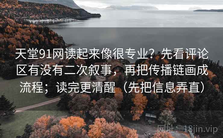天堂91网读起来像很专业？先看评论区有没有二次叙事，再把传播链画成流程；读完更清醒（先把信息弄直）